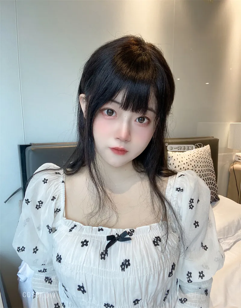 一只毛毛帽高清写真下载