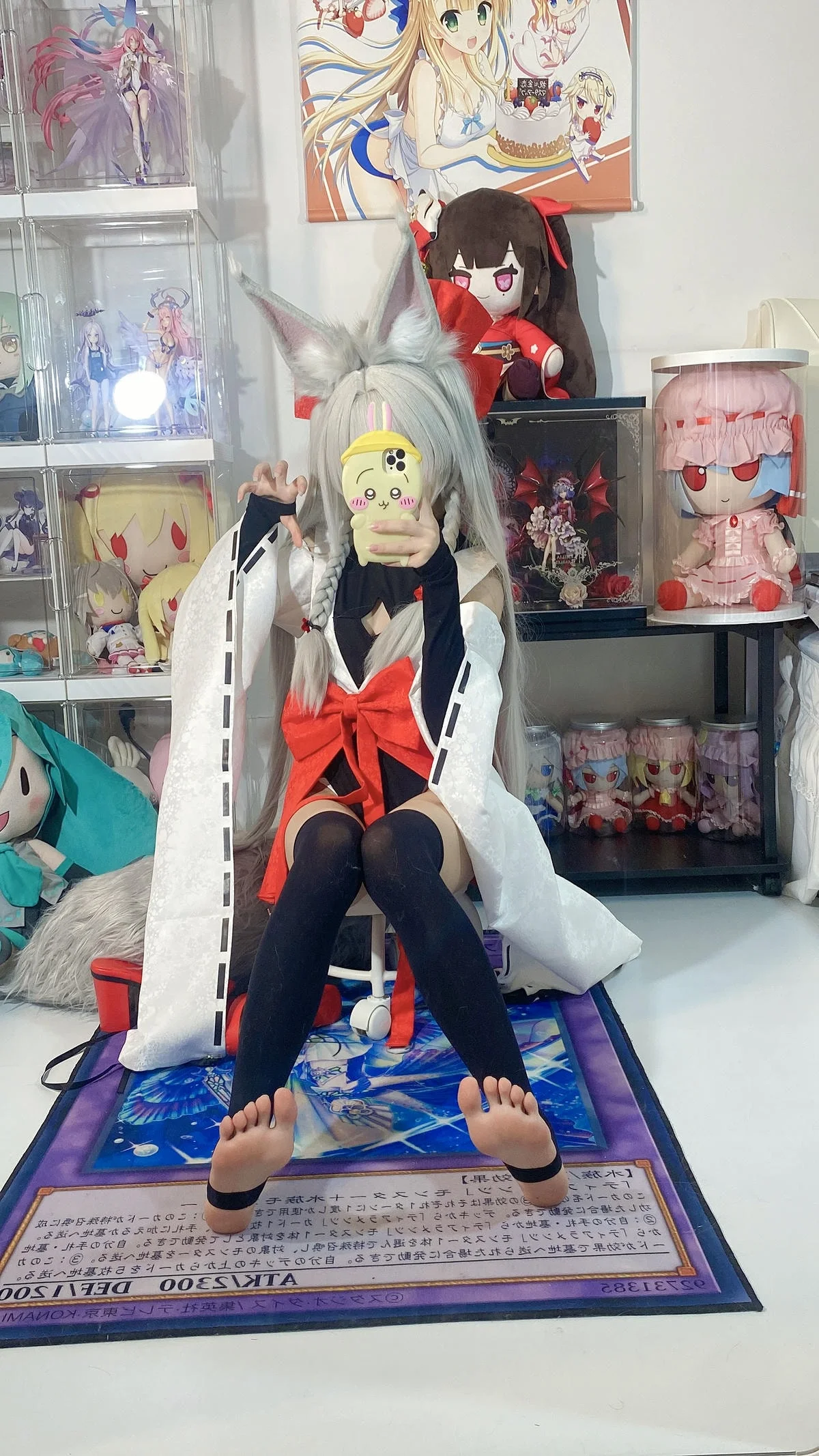 白栎Shirly